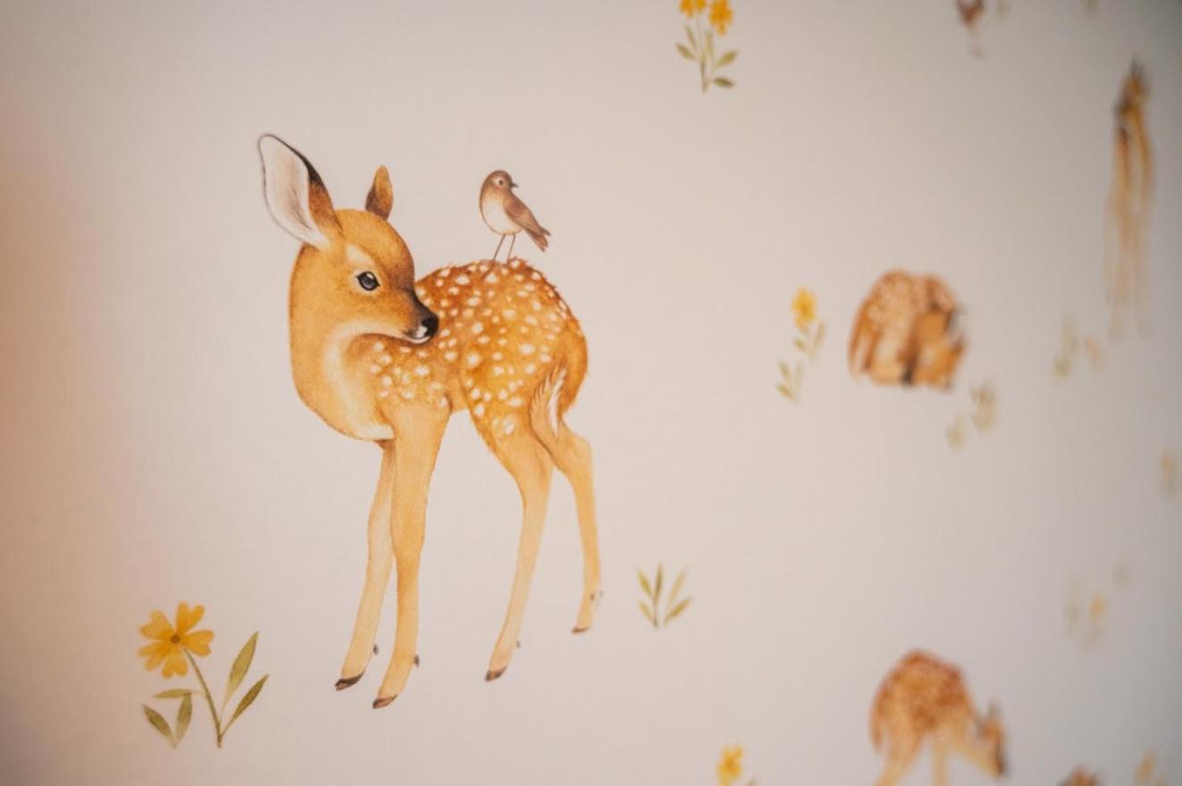 Le Val Des Cerfs - Het Hertendal Hastiere-par-dela Номер фото